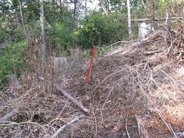 Laying out the loop track 3. Cambridge Tree Trust